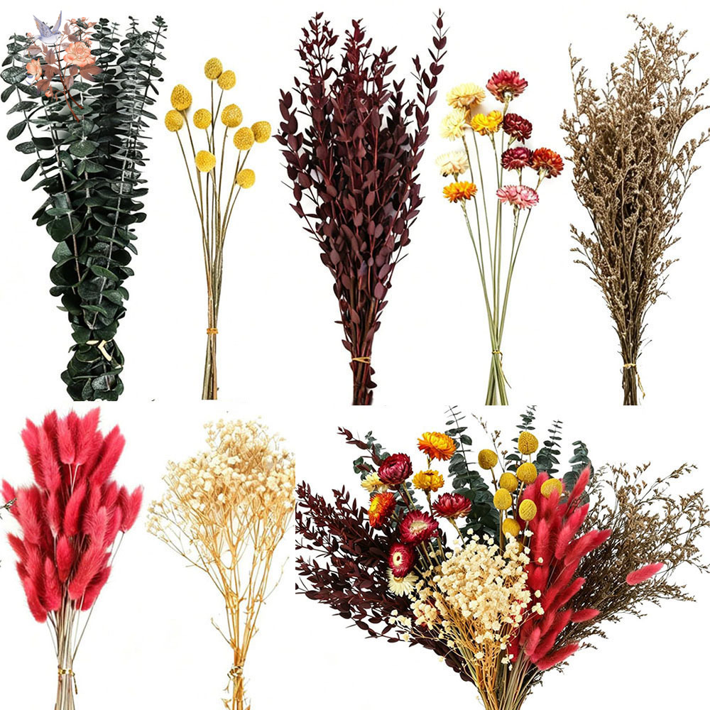 Florist Supply Bulk - 다양한 종류의 드라이 플라워 7종 세트,