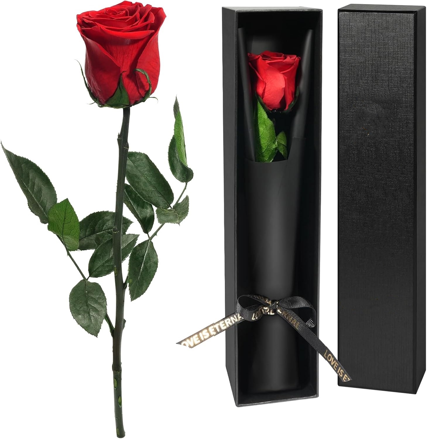 Florist Supply Bulk - 여성을 위한 싱글 스템 보존 장미