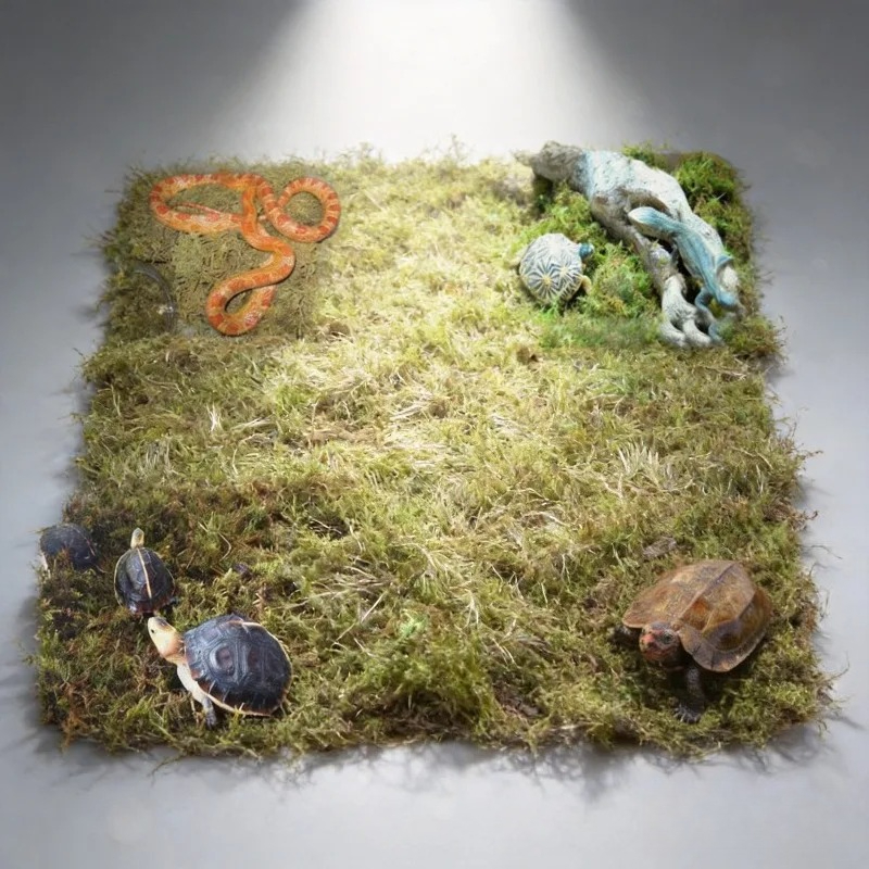 Preserved Moss Sheet - 천연 건조 이끼 파충류 테라리움 바닥재
