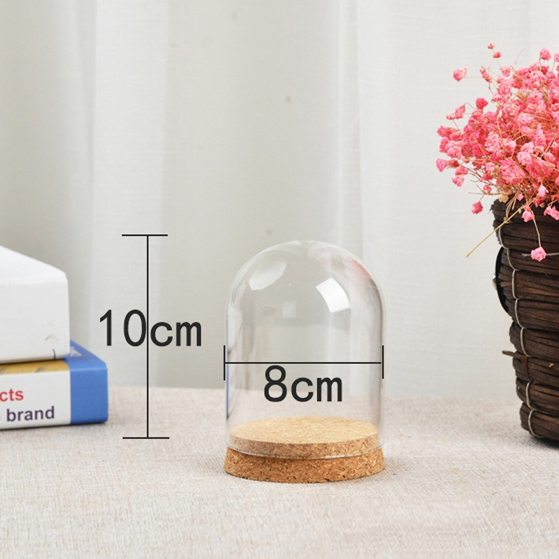 꽃 즙이 많은 식물을위한 유리 돔 커버 DIY 방진 커 - Florist Supply Vases 리뷰 및 가격