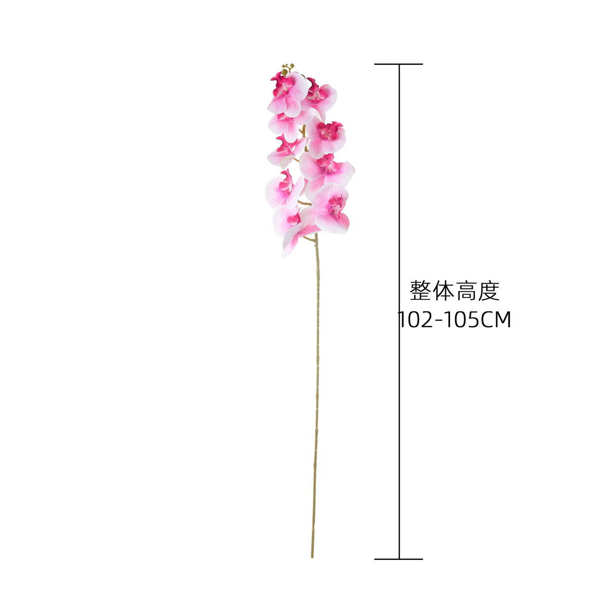 멀티 컬러 리얼 터치 인공 호접란 105cm 긴 줄기  - Florist Supply Bulk 리뷰 및 가격