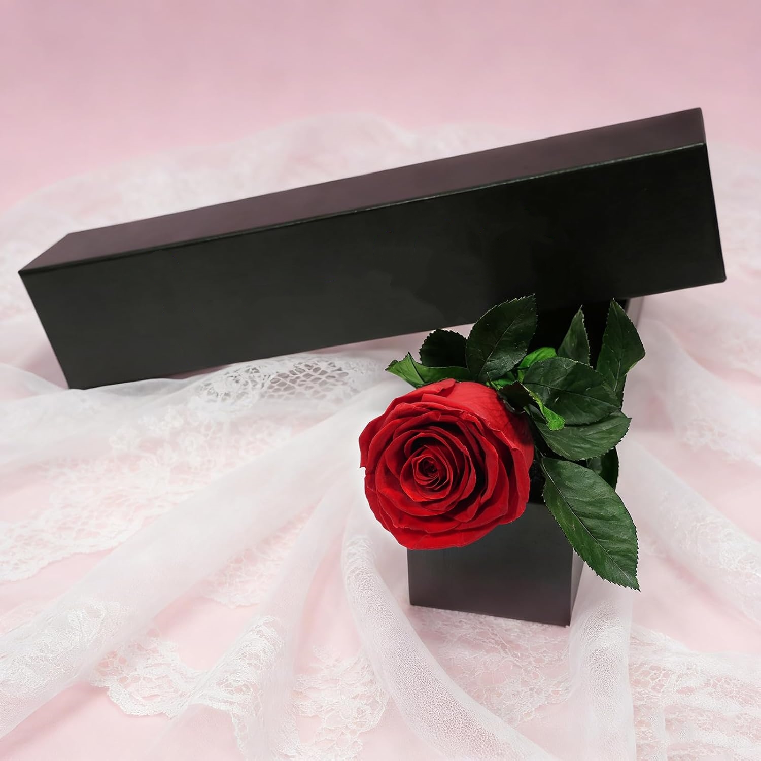 여성을 위한 싱글 스템 보존 장미 선물, 그녀를 위한  - Florist Supply Bulk 리뷰 및 가격